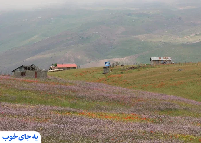 شکردشت