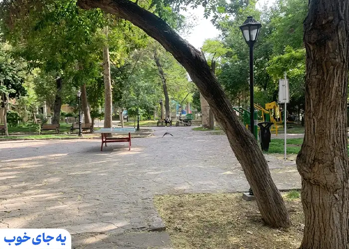 پیاده روی زیر سایه چنارهای کهنسال پیاده روی زیر سایه چنارهای کهنسال