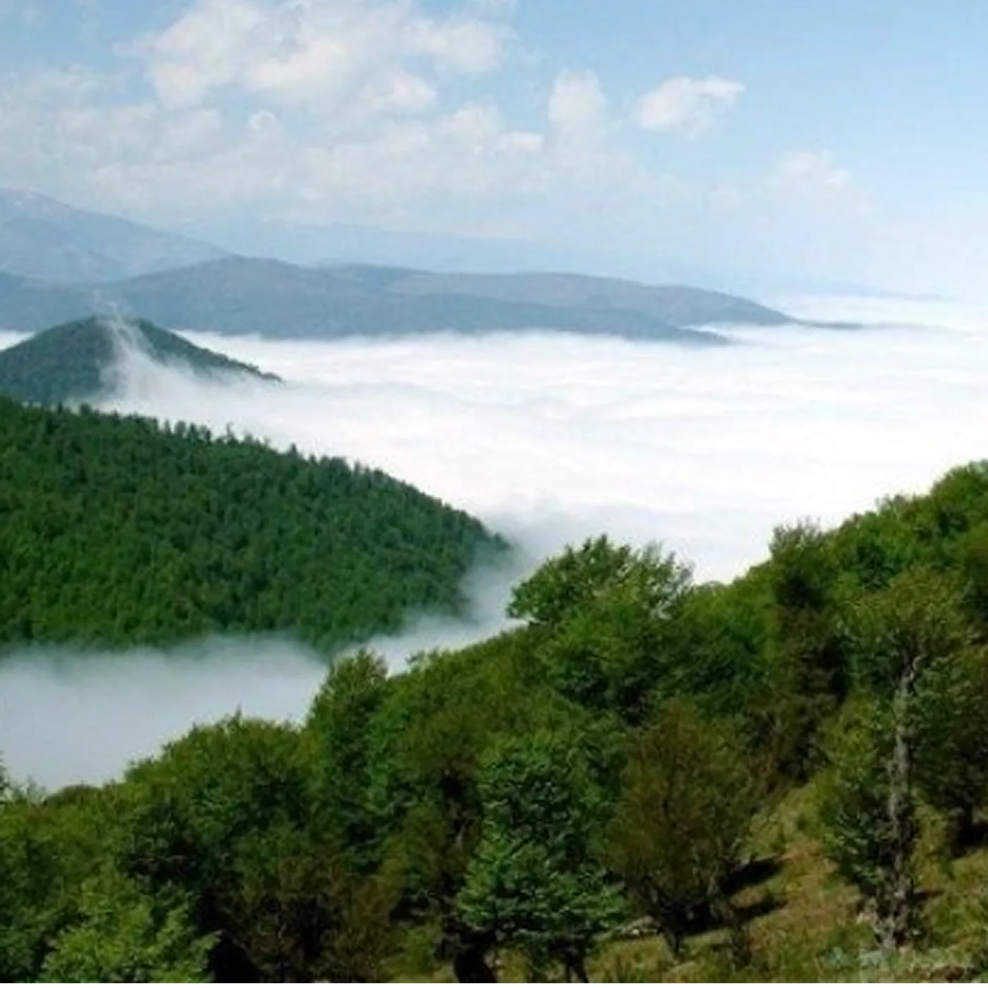 فریدونکنار