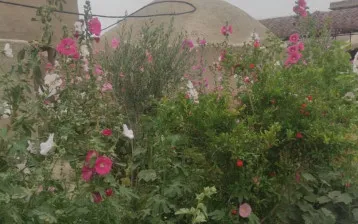 اقامتگاه بومگردی رستم زادگان سیستان زابل - نمای محوطه