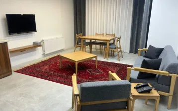 هتل آپارتمان رسام شیراز - نمای اتاق 