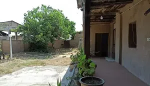 اقامتگاه بومگردی چشمه سعدی گرگان - نمای محوطه