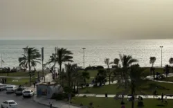 هتل دریا کنار بوشهر - ویو