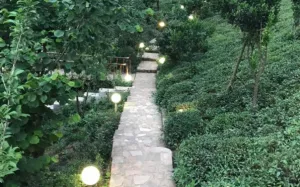 هتل آپارتمان امپراطور چلک لاهیجان - نمای محوطه 