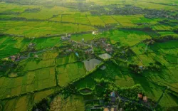 اقامتگاه بومگردی باغ ریحان لاهیجان - نمای بیرونی