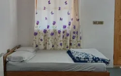 اقامتگاه بومگردی سپیدرود رشت - اتاق 2 تخته (1 تخت 2 نفره)