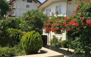 متل گل سرخ نوشهر - نمای محوطه 