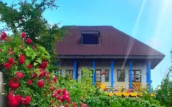 اقامتگاه بومگردی داروک ماسال - نمای بیرونی