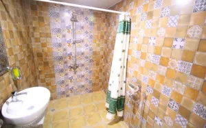 هتل بزرگ کوهستان بیرجند - سرویس بهداشتی و حمام 