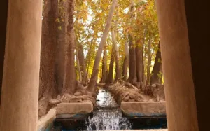 هتل باغ پهلوان پور مهریز - نمای بیرونی 