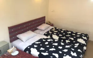 هتل ارگ تاریخی گوگد گلپایگان - اتاق 2 تخته (2 تخت 1 نفره)