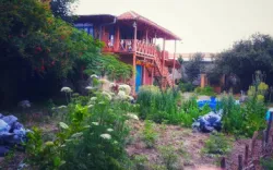 اقامتگاه بومگردی آوش بندرگز - نمای بیرونی 