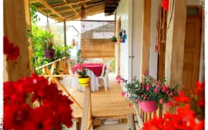 اقامتگاه بومگردی آوش بندرگز - نمای محوطه 
