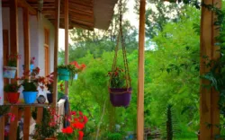 اقامتگاه بومگردی آوش بندرگز - نمای محوطه