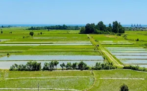  هتل آپارتمان پردیس سکوتی رضوانشهر - نمای بیرونی 