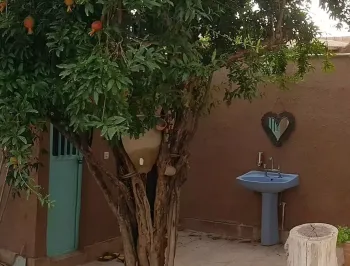 اقامتگاه بومگردی خانه خشتی رفسنجان - نمای محوطه
