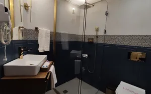 هتل آپادانا تخت جمشید مرودشت - سرویس بهداشتی و حمام 