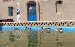 اقامتگاه بومگردی رستم زادگان سیستان زابل - نمای محوطه