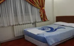 هتل جهانگردی ماهان - اتاق 2 تخته (1 تخت 2 نفره)
