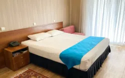 هتل پارک اصفهان - اتاق 2 تخته (1 تخت 2 نفره)