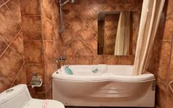 هتل آپارتمان چهل پنجره اصفهان - سرویس بهداشتی و حمام