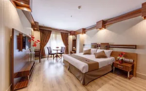 هتل سفیر اصفهان - اتاق 2 تخته (1 تخت 2 نفره)