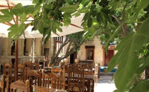 هتل داروش شیراز - نمای محوطه