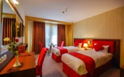 هتل شیرازیس شیراز - اتاق 2 تخته (2 تخت 1 نفره)