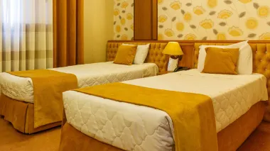 هتل پارک سعدی شیراز - اتاق 2 تخته (2 تخت 1 نفره)