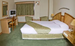 هتل پارس شیراز - اتاق 2 تخته (1 تخت 2 نفره)