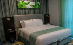 هتل آوینا قشم - اتاق 2 تخته (1 تخت 2 نفره)