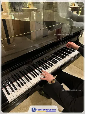 هتل بین المللی اسپیناس بلوار تهران