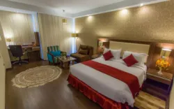 هتل انقلاب تهران - اتاق 2 تخته (1 تخت 2 نفره)