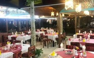 هتل بلوط تهران - رستوران