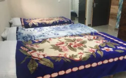 هتل آپارتمان گل پونه قشم - نمای اتاق 