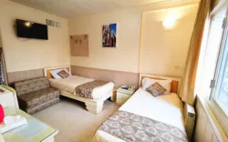 هتل کارون اصفهان - اتاق 2 تخته (2 تخت 1 نفره)