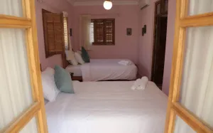 اقامتگاه سنتی درب شازده شیراز - نمای اتاق