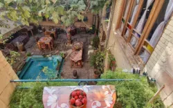 اقامتگاه سنتی ماه سلطان شیراز - نمای محوطه