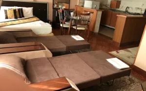 هتل آپارتمان پارمیس شیراز - نمای اتاق 