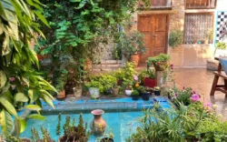 اقامتگاه بومگردی آنا شیراز - نمای محوطه