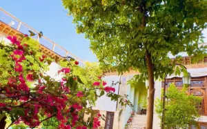 اقامتگاه بومگردی خانه شیراز - نمای محوطه