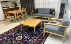 هتل آپارتمان رسام شیراز - نمای اتاق 