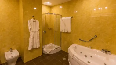 هتل اسپیناس پالاس تهران - سرویس بهداشتی و حمام