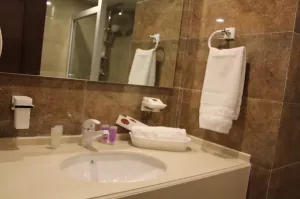 هتل بزرگ پارک حیات مشهد - سرویس بهداشتی 