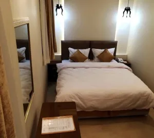 هتل آپارتمان ونک تهران - اتاق 2 تخته (1 تخت 2 نفره)