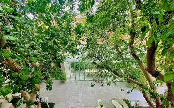 بوتیک هتل پاسیو شیراز - نمای محوطه