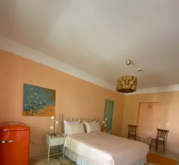 بوتیک هتل پاسیو شیراز - اتاق 2 تخته (1 تخت 2 نفره)