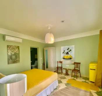 بوتیک هتل پاسیو شیراز - نمای اتاق 