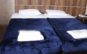 هتل امیر کبیر شیراز - اتاق 2 تخته (2 تخت 1 نفره)