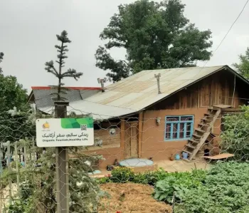 اقامتگاه بومگردی چامگاه رامسر - نمای بیرونی 